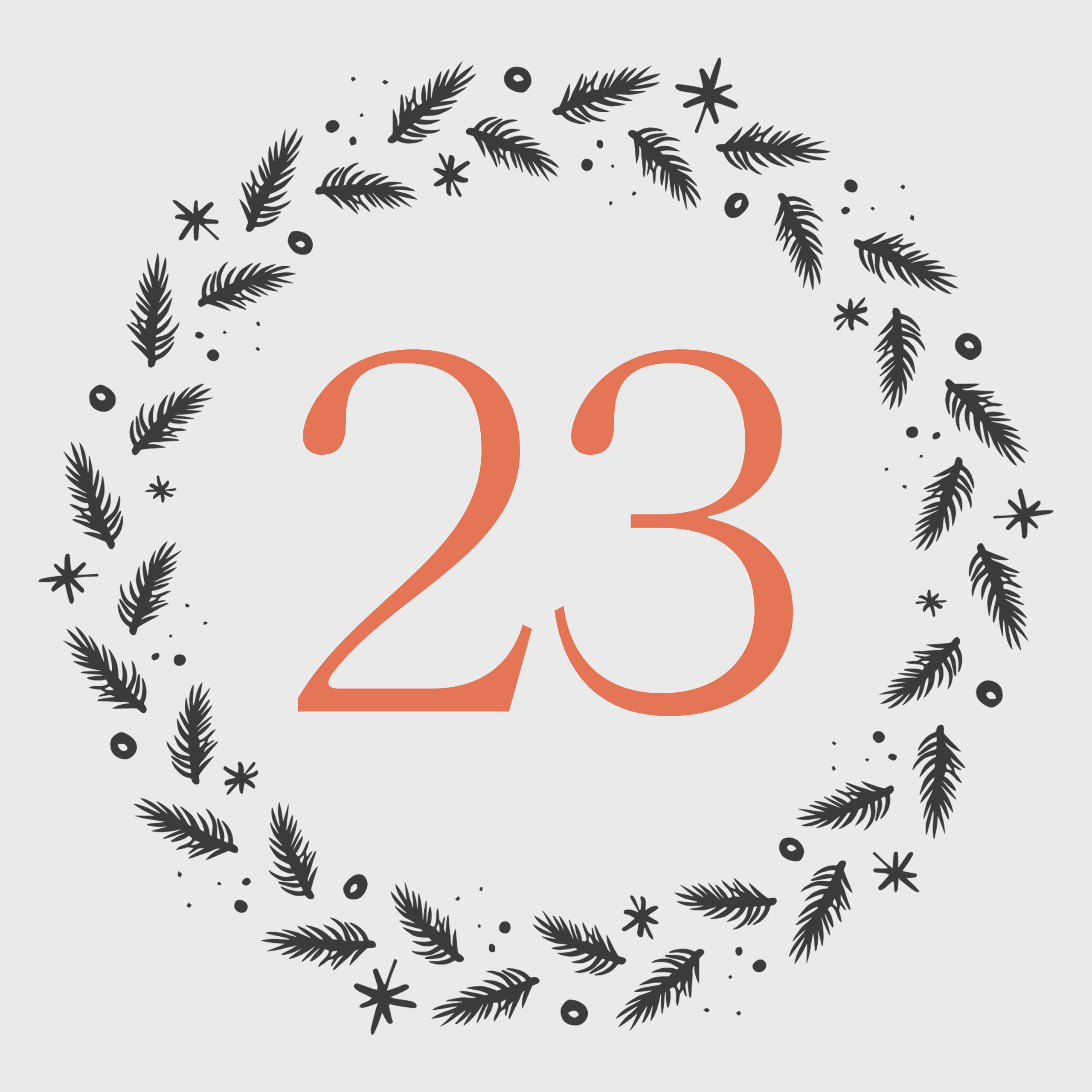 t23