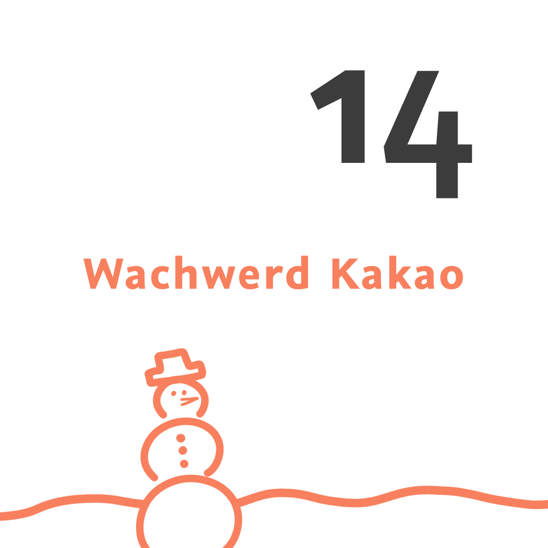 Adventkalender Tür 14